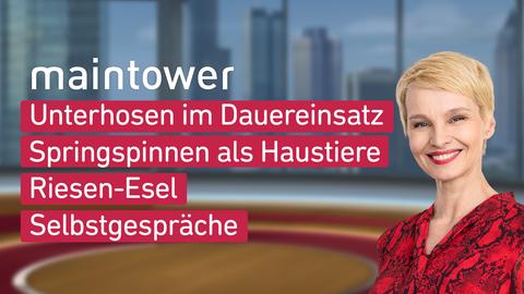 Susann Atwell und die maintower-Themen vom Wochenende: Unterhosen im Dauereinsatz, Springspinnen als Haustiere, Riesen-Esel und Selbstgespräche. 