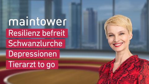maintower vom 05.03.2024, moderiert von Susann Atwell mit diesen Themen: Resilienz befreit; Schwanzlurche; Depressionen; Tierarzt to go.
