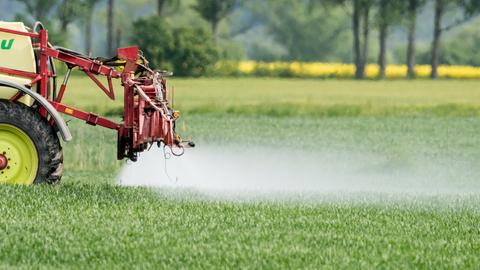 Pestizide in der Landwirtschaft