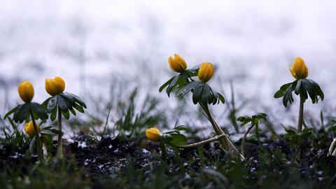 Wetterfotos Februar 2020_hallo hessen
