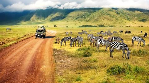 Safari in Tansania, rechts im Bild eine Giraffe.