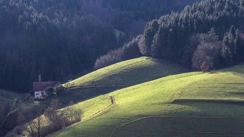 Schwarzwald