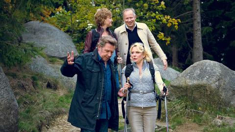 Zwei Paare wandern durch die Natur.