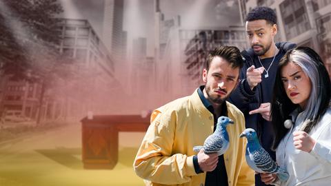 Host Noel Schmidt mit Plüsch-Taube, in der Mitte Comedian Bruno Banarby, rechts Comedienne Parshad. 
