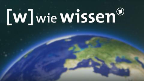 w wie wissen