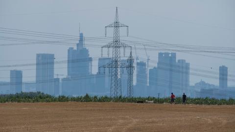 Die Skyline von Frankfurt und ein Strommast zeichnen sich hinter einem bereits abgeernteten Rapsfeld ab.