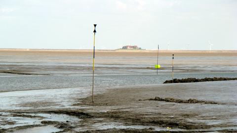 Die Hallig Langeness.