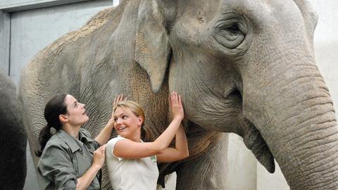 Susanne Mertens (Elisabeth Lanz, l.) und Pflegerin Anett (Anna Bertheau, r.) untersuchen das Ohr einer Elefantenkuh.