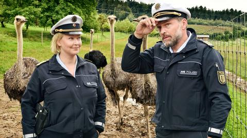 Ermittlungen auf der Straußenfarm: Nele (Floriane Daniel, l.) und Andreas Rambach (Ole Puppe, r.).