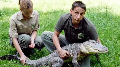 Tierpfleger Conny (Thorsten Wolf, r.) und Tierpflegerin Anett (Anna Bertheau, l.) machen sich Sorgen um Krokodil Konrad.