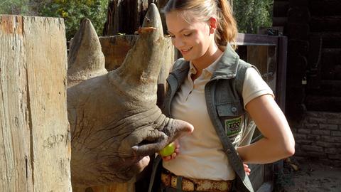 Tierpflegerin Anett (Anna Bertheau) lockt das Nashorn Nobi mit einem Apfel an. Es ist verwundet und muss untersucht werden.