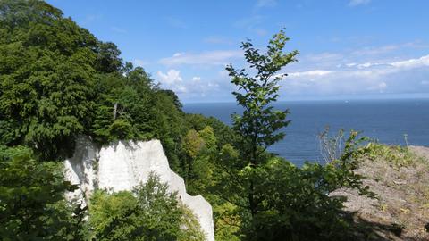 Rügen entdecken 