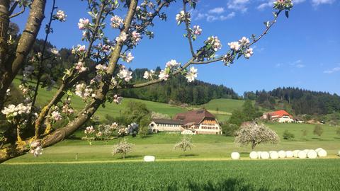 Landschaft am Kaiserstuhl.