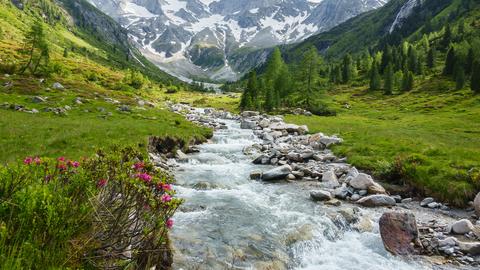 Die Allgäuer Alpen