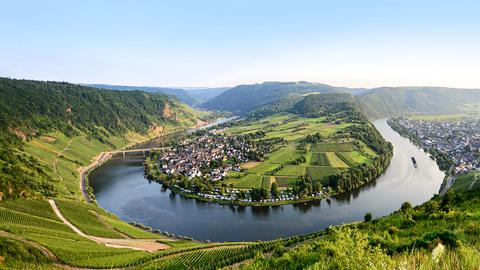 Die Mosel bei Trier. Text: Die Mosel bei Trier