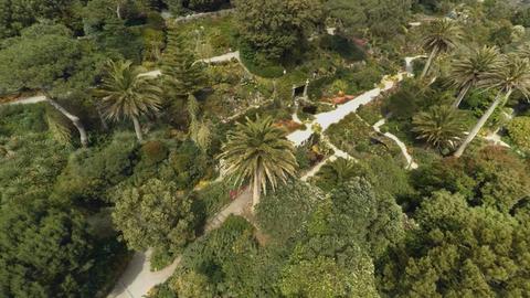 Palmen in England. Die Insel Tresco beheimatet einen der schönsten Gärten der Scilly-Inseln.