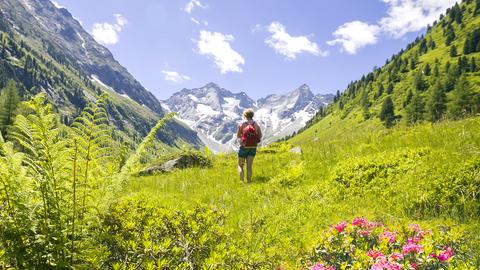 Vom Zillertal ins Ahrntal - Schmuggler, Senner und Bergsteiger