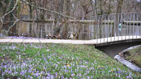 Wetterfotos hallo hessen für Februar 2020