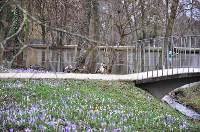 Wetterfotos hallo hessen für Februar 2020