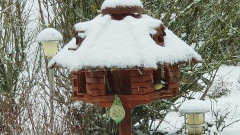 Wetterfotos hallo hessen für Februar 2020