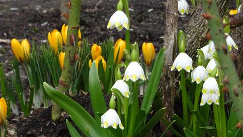 Wetterfotos hallo hessen_Februar 2020