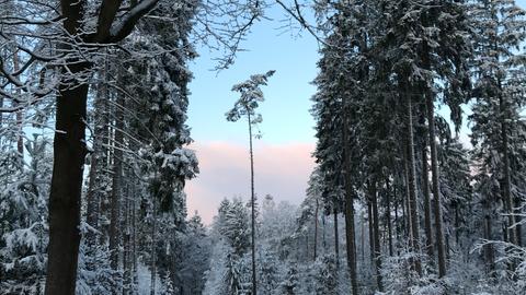 Wetterfotos hallo hessen für Februar 2020