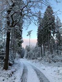 Wetterfotos hallo hessen für Februar 2020