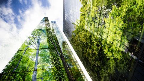 Doppelbelichtung eines sattgrünen Waldes und modernen Wolkenkratzerfenstern. Text: Flexible Räume – Die Zukunft des Bauens