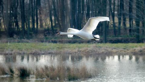 Wetterfotos hallo hessen_Februar 2020