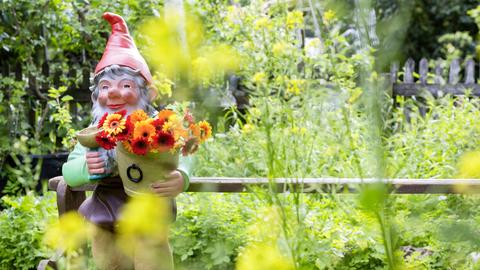 Gartenzwerg in einem deutschen Vorgarten