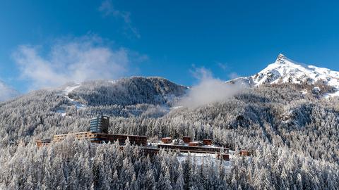 Winterwald in der Großglockner-Region