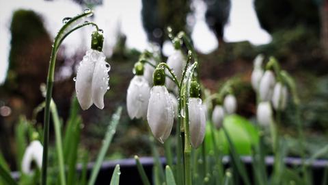 Wetterfotos hallo hessen für Februar 2020