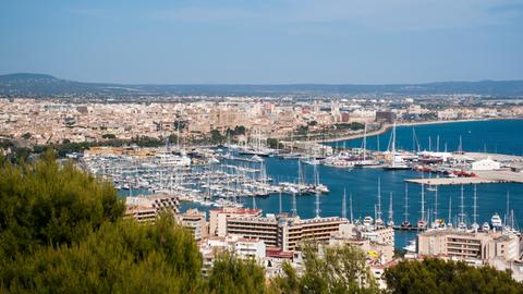 Der Hafen von Palma de Mallorca. 