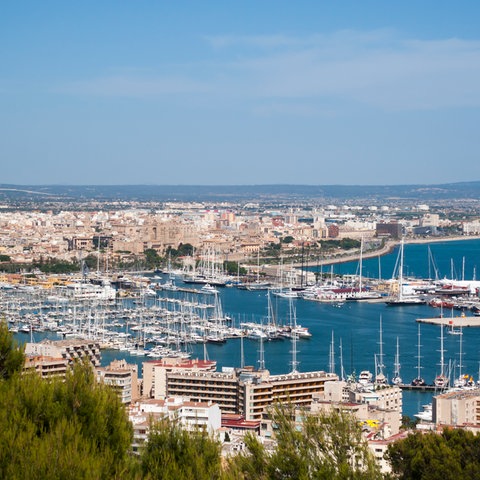 Der Hafen von Palma de Mallorca. 