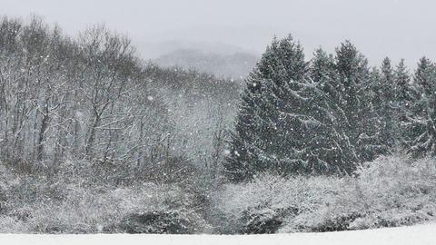 Wetterfotos hallo hessen für Februar 2020