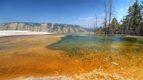 Yellowstone National Park. Mammoth Hot Springs 