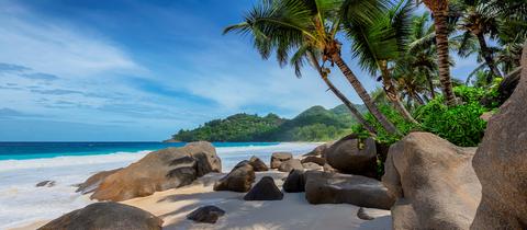 Strand auf Jamaika