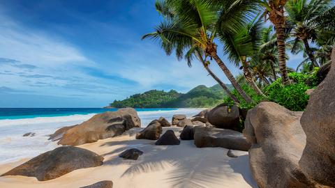 Strand auf Jamaika