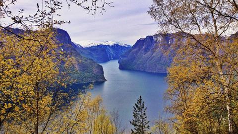 Ein Blick auf Wasser, an den Bildränden Berge und Bäume