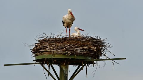 Wetterfotos hallo hessen_Februar 2020