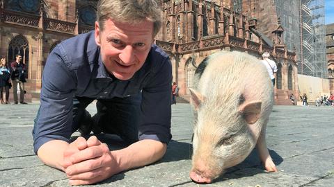 Schauspieler Michael Kessler mit einem Schwein.