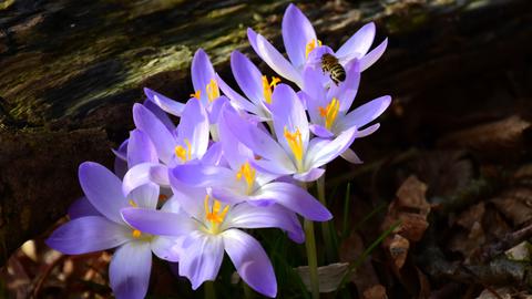 Wetterfotos hallo hessen_Februar 2020