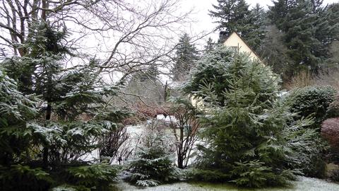Wetterfotos hallo hessen für Februar 2020