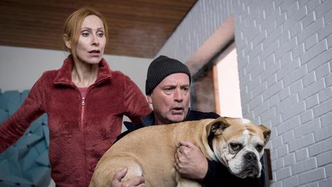 Frau und ein Mann, mit einem Hund auf dem Arm
