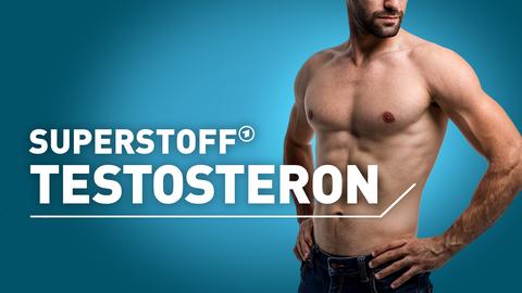 Ein nackter muskulöser männlicher Oberkörper vor blauem Hintergrund. Text: Superstoff Testosteron