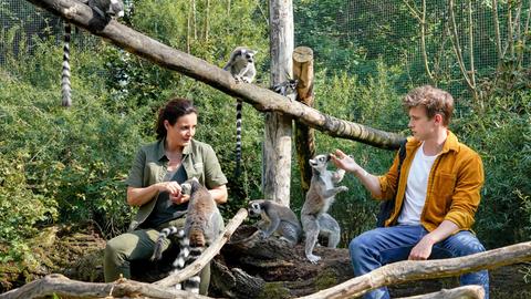 Tierärztin Dr. Susanne Mertens (Elisabeth Lanz, l.) mit ihrem Sohn Jonas (Lennart Betzgen, r.) bei den Lemuren. Jonas kennt diesen Ort seit seiner Kindheit. Er sagt seiner Mutter, dass er nun vor Gericht ziehen möchte, um das Umgangsrecht für die Zwillinge zu bekommen, um die er sich fast drei Jahre gekümmert hat.